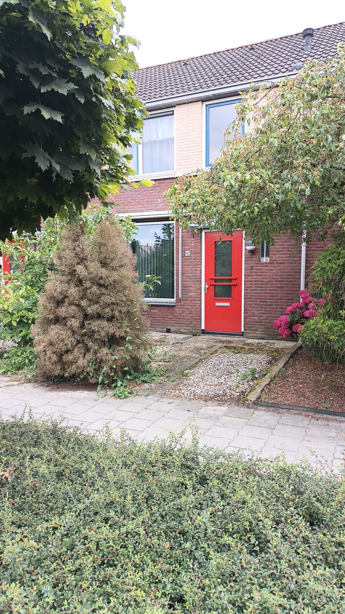 Klokbekerweg 142, 8081 JJ Elburg, Nederland