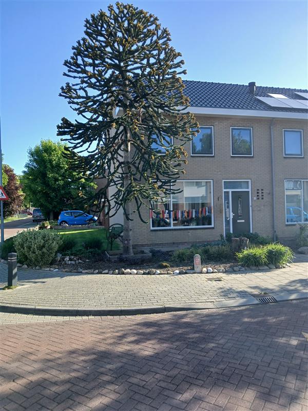 Hoekwoning te huur: Luttekenstraat 11, Elburg